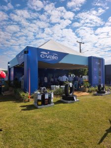 Cvale