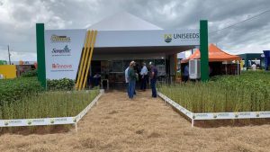Uniseeds