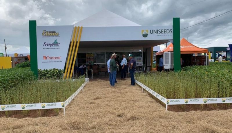 Uniseeds